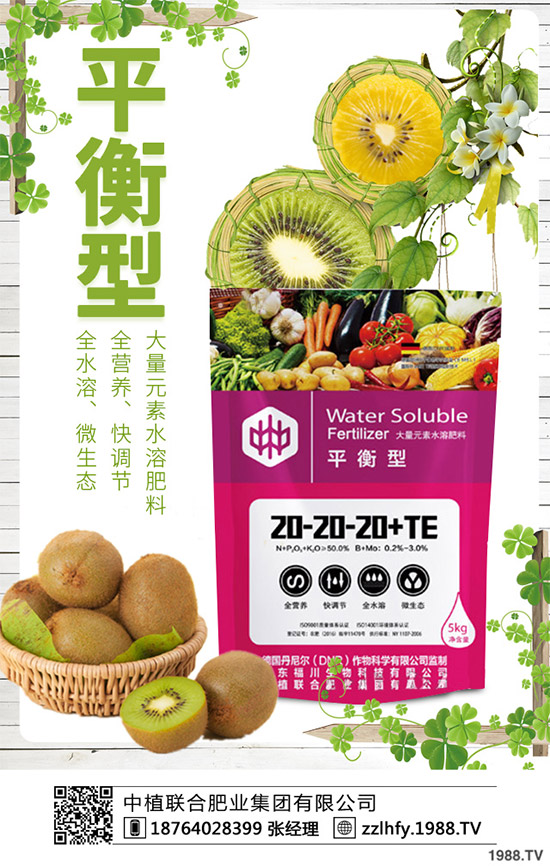 你知道什么是洋薊嗎？洋薊大概多少錢一斤？快來看看