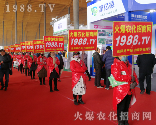     2019�ӱ�ʯ���fֲ�����ϻ��r���W��Ӣ�ɳ�������(zh��n)����