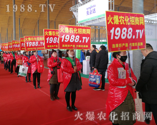     2019��30�úӱ�ֲ���������r(n��ng)���W(w��ng)Ҋ�C�ИI(y��)ʢ���ل�(chu��ng)�ѿ���