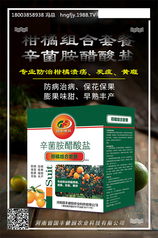 �����������}