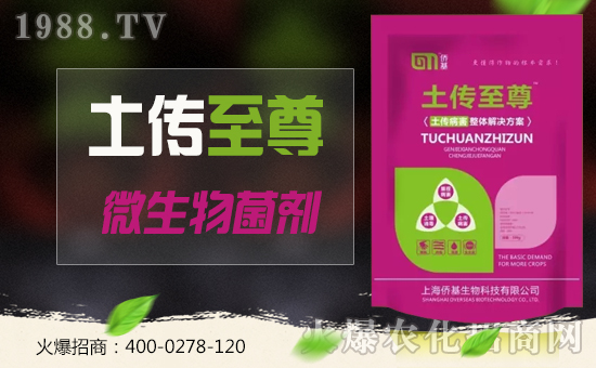 �Ϻ��S�������ٶȔy��1988.TV���y���ل�(chu��ng)���x����