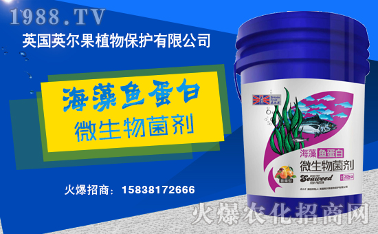 ����������(j��)��Ӣ����ֲ��y���r(n��ng)���W(w��ng)�����W(w��ng)�j(lu��)����·��