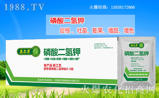 ����������(j��)��Ӣ����ֲ��y���r(n��ng)���W(w��ng)�����W(w��ng)�j(lu��)����·��