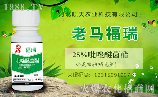 ���r(n��ng)���W(w��ng)�ٺ��ӱ�����r(n��ng)�I(y��)�����M(j��n)��(zh��n)�Ժ�����������