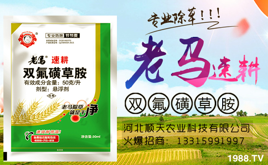 ���r(n��ng)���W(w��ng)�ٺ��ӱ�����r(n��ng)�I(y��)�����M(j��n)��(zh��n)�Ժ�����������