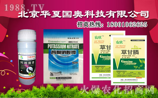 �����A�ć��W�ٺ����r(n��ng)���W(w��ng)�����󌍬F(xi��n)�v�w����