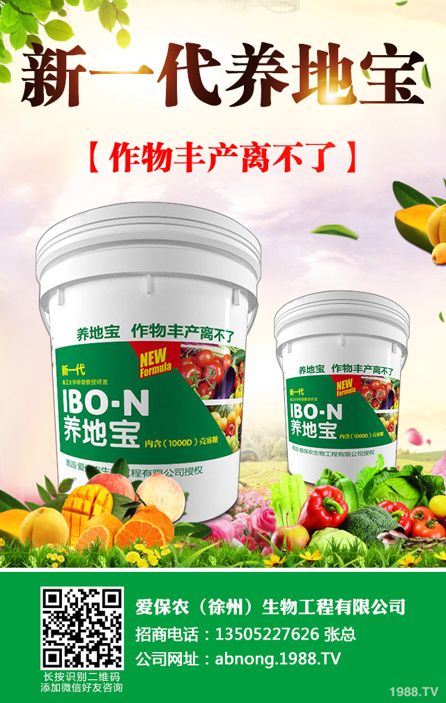 �Ͳ��~�t��ȱʲô���Ͳ˼t������ؼ�����