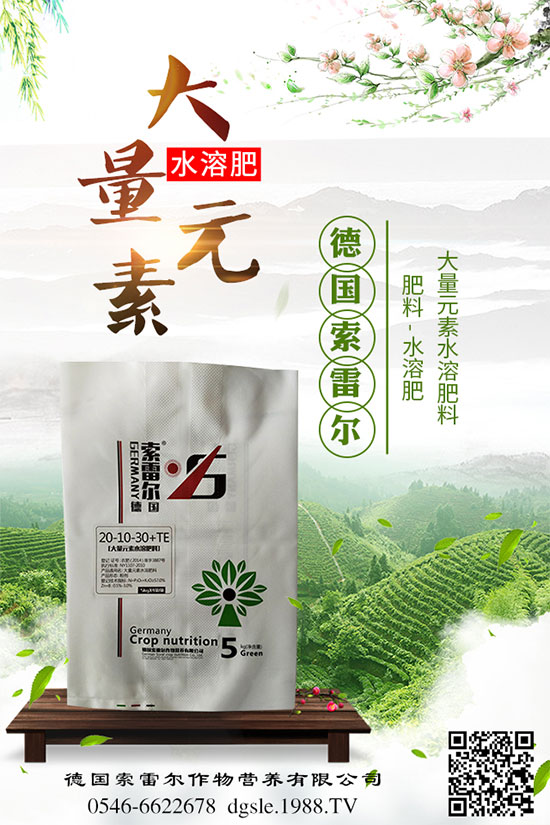 青棗的功效與作用，吃青棗有什么好處？