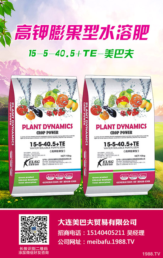     2019��8��24�ս��Շ��H����(n��i)⛷ʃr�������߄��A(y��)�y�C���u��