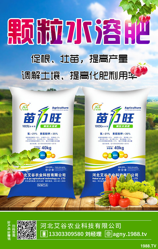     秋季草莓如何施肥？秋季草莓定植管理技術(shù)及施肥、水肥管理方法！