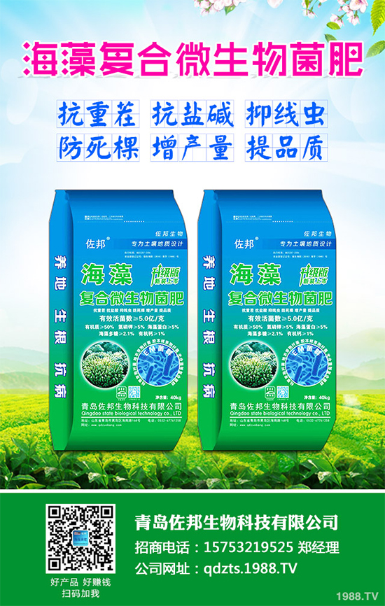     芹菜是日常生活中常見的蔬菜品種，對種植環(huán)境要求相對較高，只有在黏性土壤上才可以正常的生長。那么，芹菜什么時候種植比較好？大棚芹菜該如何種植呢？