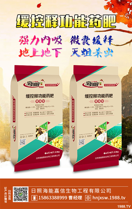 芹菜該如何種植？注意些什么？芹菜高產(chǎn)種植方案