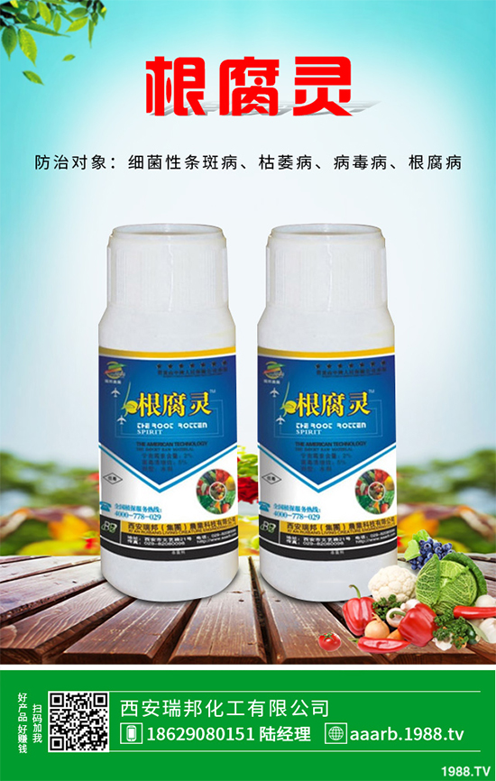     ��䚢�����r��