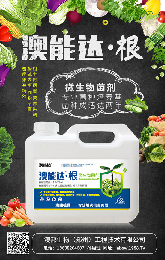 ����Ҫ�q�����ڇ�(gu��)��(n��i)�Ј�(ch��ng)���؃r(ji��)�������߄�(sh��)����2019��8��26��