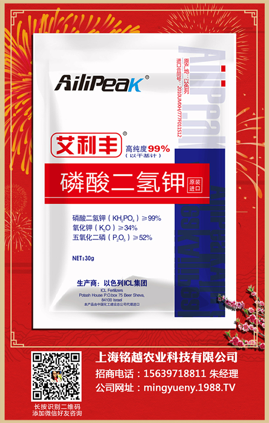 �۲�����Щ�I(y��ng)�B(y��ng)�r(ji��)ֵ�����۲˵ĺ�̎����Щ�����(l��i)��������