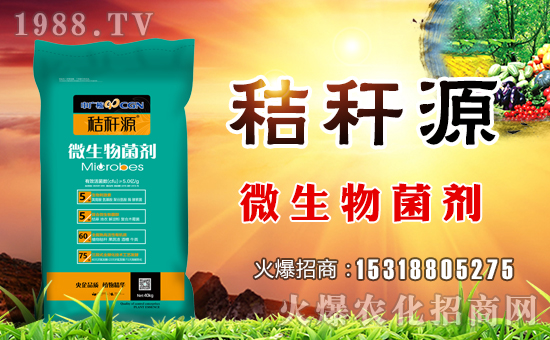 ɽ�|�f(w��n)�����B(t��i)���v���r(n��ng)���W(w��ng)�����\�����°l(f��)չ��