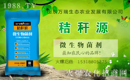 ɽ�|�f(w��n)�����B(t��i)���v���r(n��ng)���W(w��ng)�����\�����°l(f��)չ��