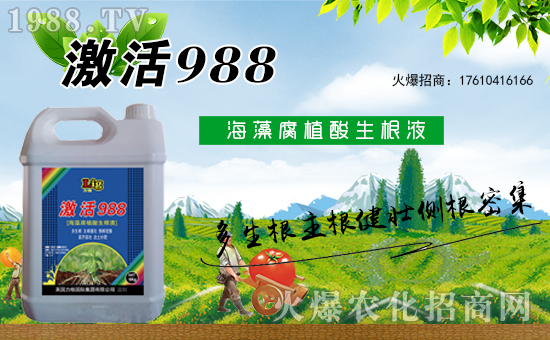 Ӣ�������ٶȔy��1988.TV���y�ֹ���(chu��ng)��(zh��n)�����ل�(chu��ng)�x����