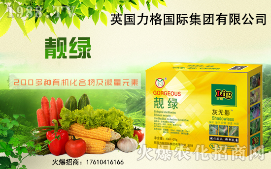 Ӣ�������ٶȔy��1988.TV���y�ֹ���(chu��ng)��(zh��n)�����ل�(chu��ng)�x����