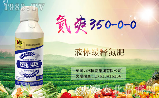 Ӣ�������ٶȔy��1988.TV���y�ֹ���(chu��ng)��(zh��n)�����ل�(chu��ng)�x����