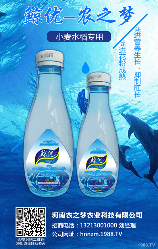 �۲˰߿ݲ�����ЩΣ����ԓ��η������۲˰߿ݲ��İl(f��)���c����