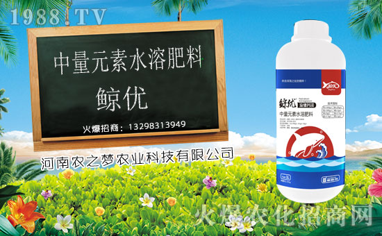 �������x������(j��)�������r(n��ng)֮��(m��ng)�r(n��ng)�I(y��)�Ƽ��y�r(n��ng)���W(w��ng)�������x�ͣ�