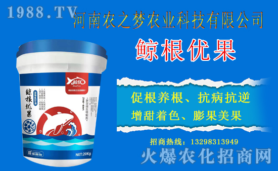 �������x������(j��)�������r(n��ng)֮��(m��ng)�r(n��ng)�I(y��)�Ƽ��y�r(n��ng)���W(w��ng)�������x�ͣ�