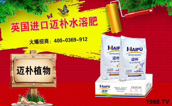 Ӣ��(gu��)�~���c���r(n��ng)���W(w��ng)���m(x��)ǰ�����y�ֹ���(chu��ng)���x�ͣ�