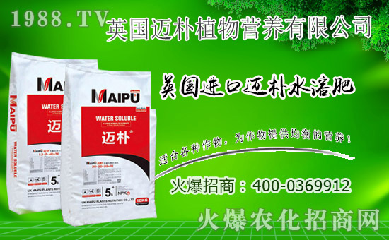 Ӣ��(gu��)�~���c���r(n��ng)���W(w��ng)���m(x��)ǰ�����y�ֹ���(chu��ng)���x����