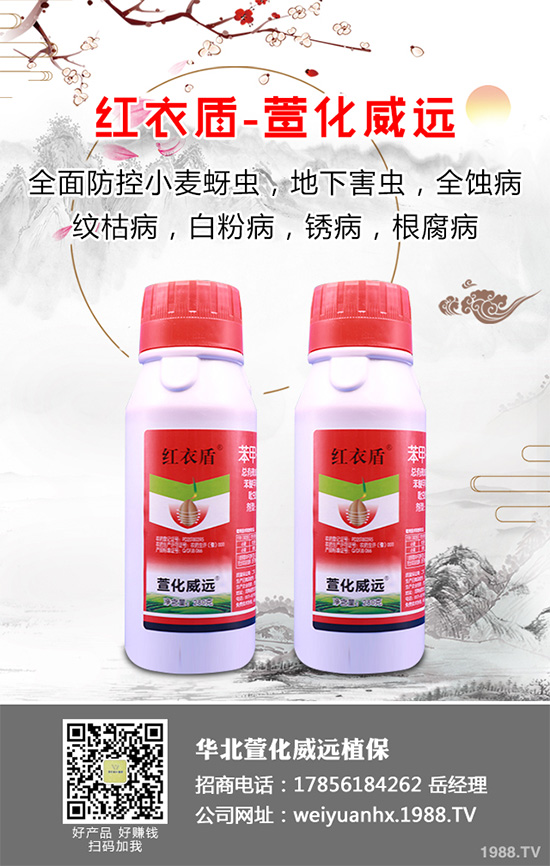     ���䚢�����r(ji��)��