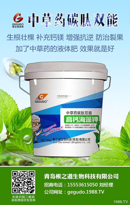 2019-8-28復(fù)合肥價(jià)格市場(chǎng)行情日?qǐng)?bào)