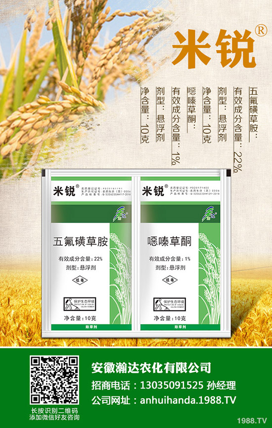 吃菠菜有哪些好處？菠菜的營(yíng)養(yǎng)價(jià)值有哪些？