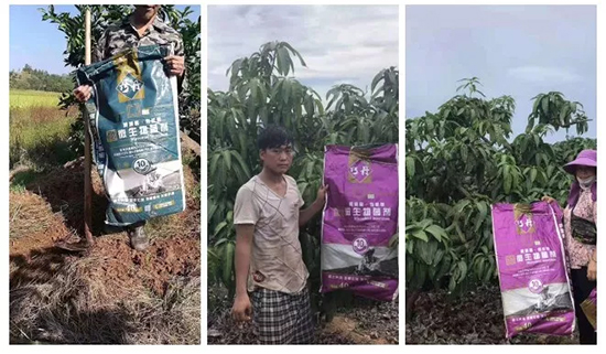 【微生物菌劑+有機(jī)肥】效果牛逼！施一遍頂三遍，省力又高產(chǎn)！