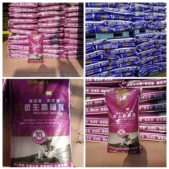 【微生物菌劑+有機(jī)肥】效果牛逼！施一遍頂三遍，省力又高產(chǎn)！