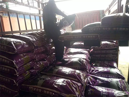 【微生物菌劑+有機(jī)肥】效果牛逼！施一遍頂三遍，省力又高產(chǎn)！