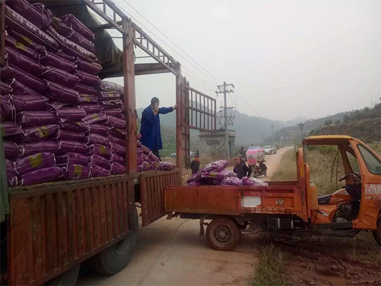 【微生物菌劑+有機(jī)肥】效果牛逼！施一遍頂三遍，省力又高產(chǎn)！