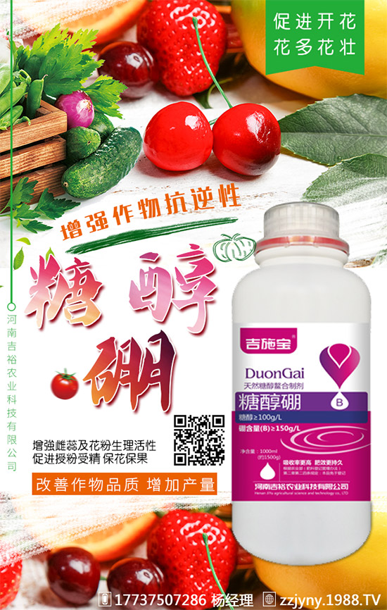 葡萄缺硼在果上葉上表現(xiàn)癥狀！什么時候補(bǔ)硼？葡萄補(bǔ)硼時間及技術(shù)！