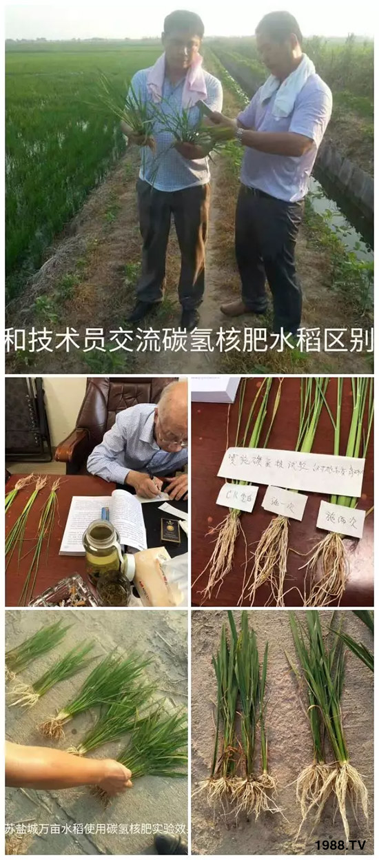 上百家媒體報(bào)道，打造超過歐盟食品標(biāo)準(zhǔn)作物！碳?xì)浜朔示褪沁@么火爆！