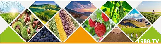 “化肥零增長”高壓下，新型肥料迅速崛起，作物科學增長空間巨大！