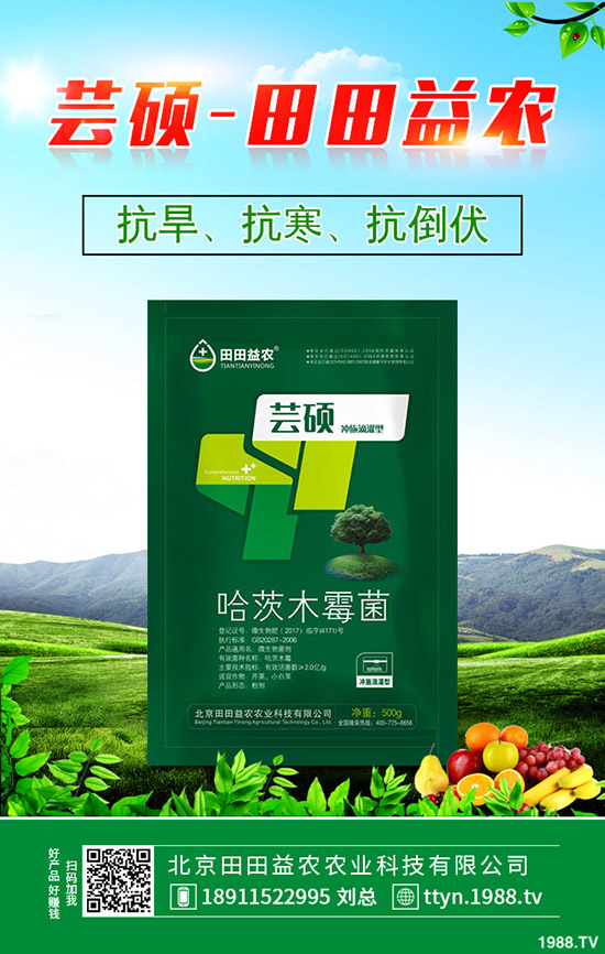 蔬菜葉子發(fā)黃是什么原因，蔬菜黃葉防治技巧！