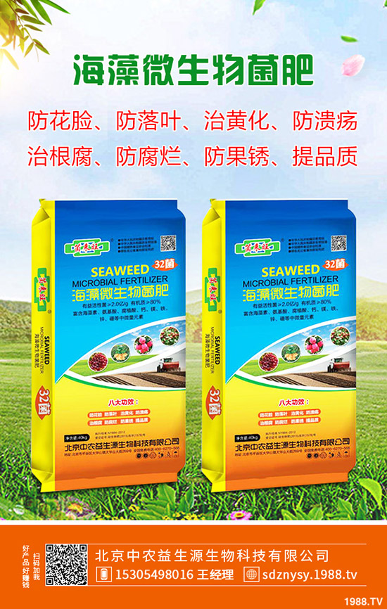 ����ʲô�r��Nֲ������һ����³�����
