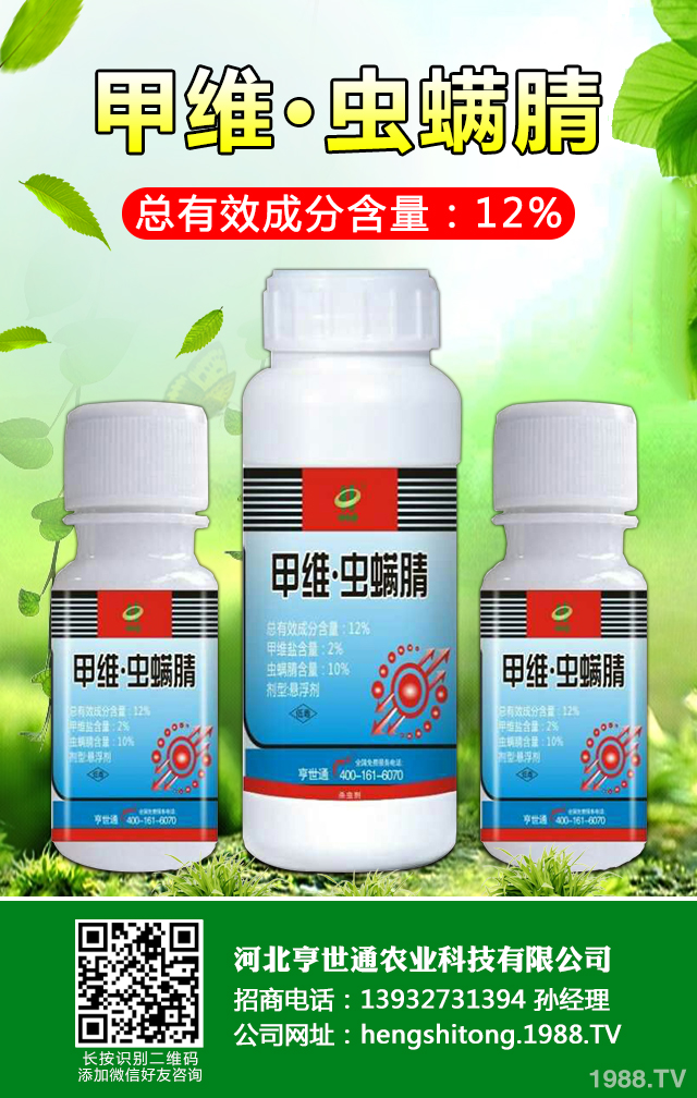如何巧治馬鈴薯甲蟲害？馬鈴薯甲蟲害防治技巧