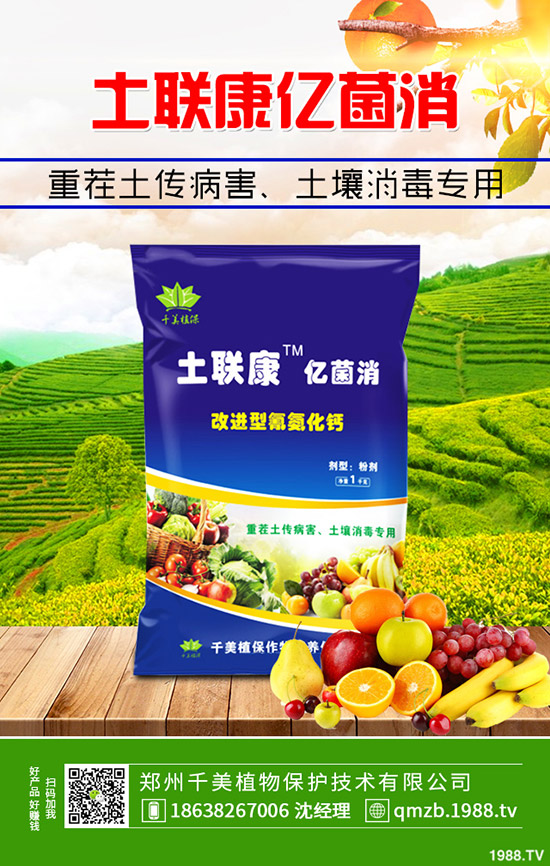     秋季大棚辣椒如何管理？秋季溫室辣椒定植管理技術(shù)！