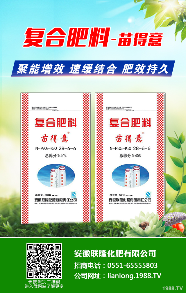 �t��������ô�������t������ȫ�����