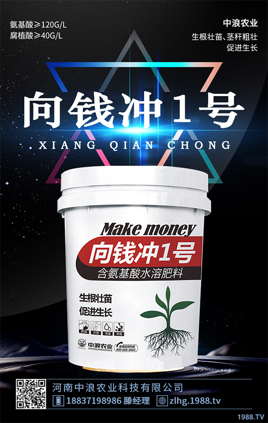 芥菜什么時候種植效益更好？芥菜高產(chǎn)種植技術(shù)要點(diǎn)