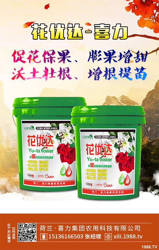芥菜種植需要注意什么？芥菜高效種植技術(shù)及管理事項(xiàng)