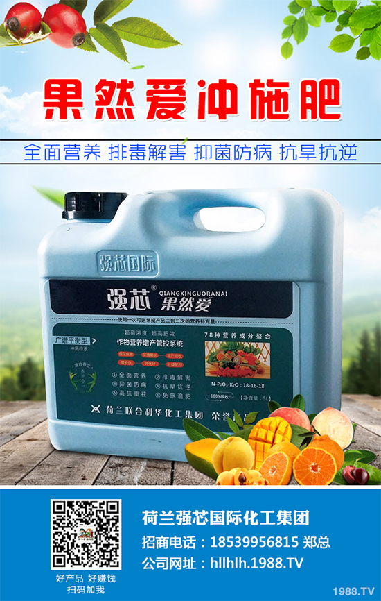 芥菜種植需要注意什么？芥菜高效種植技術(shù)及管理事項(xiàng)