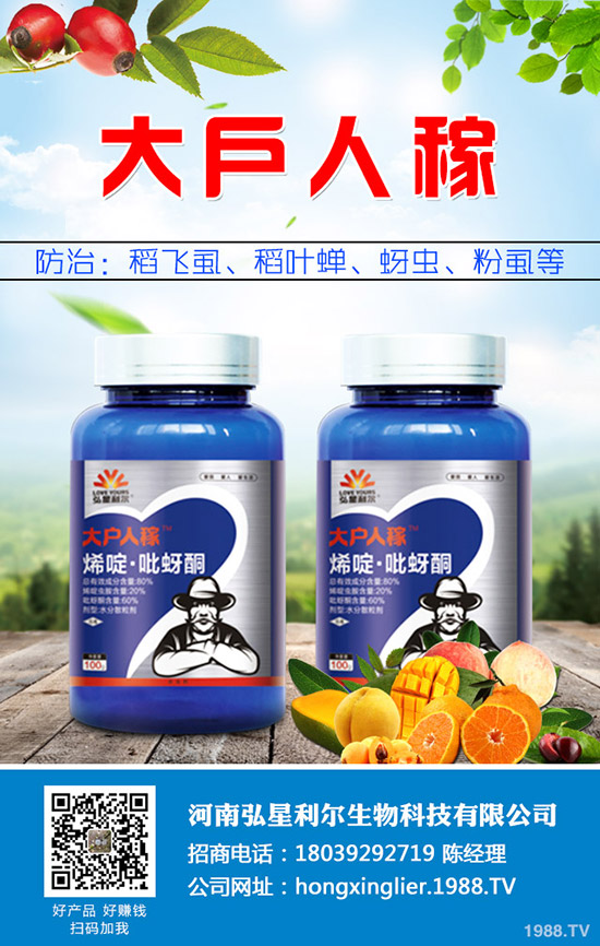 萬年青黃葉怎么辦，萬年青黃葉原因及防治措施！