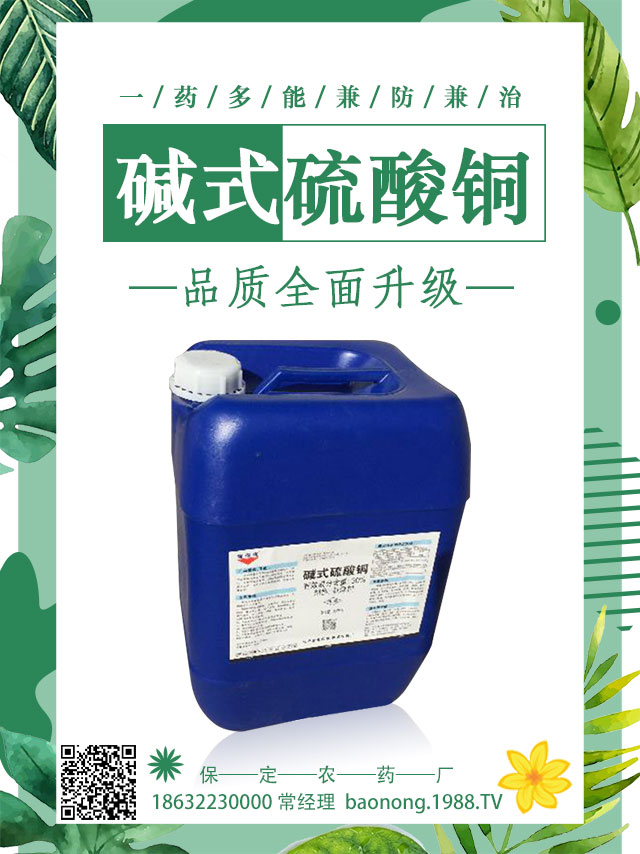 茄子土傳病害怎么辦？茄子嫁接可避免土傳病害