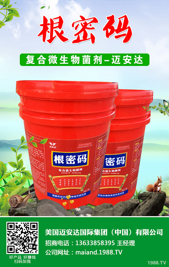 �����Jʲô�r(sh��)��Nֲ�������J�Nֲ���g(sh��)��